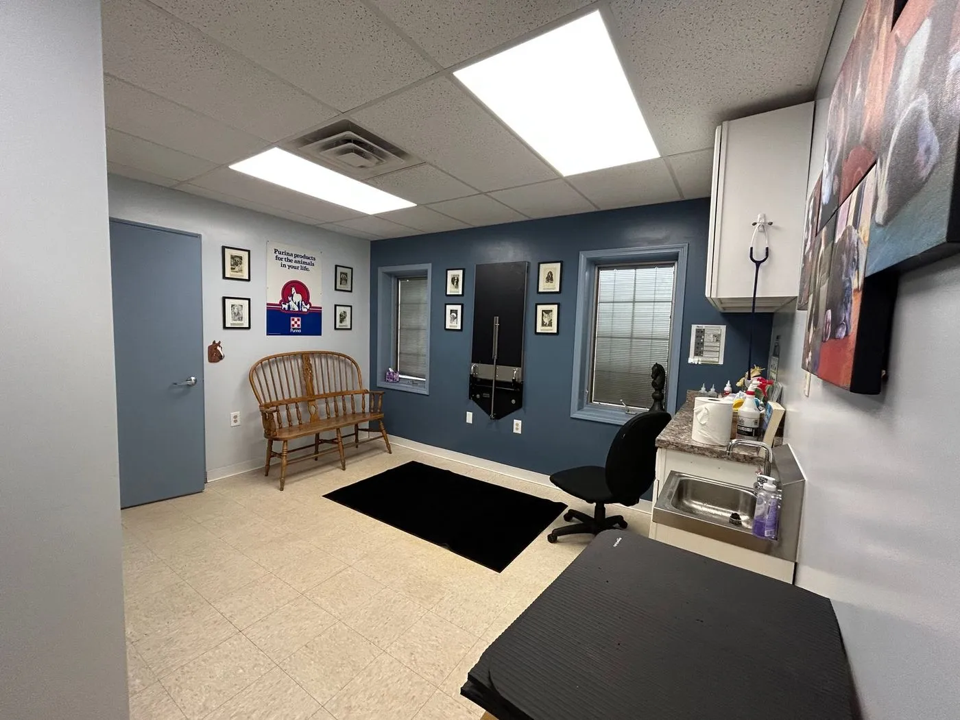 Allegan Animal Clinic office tour, photo 4