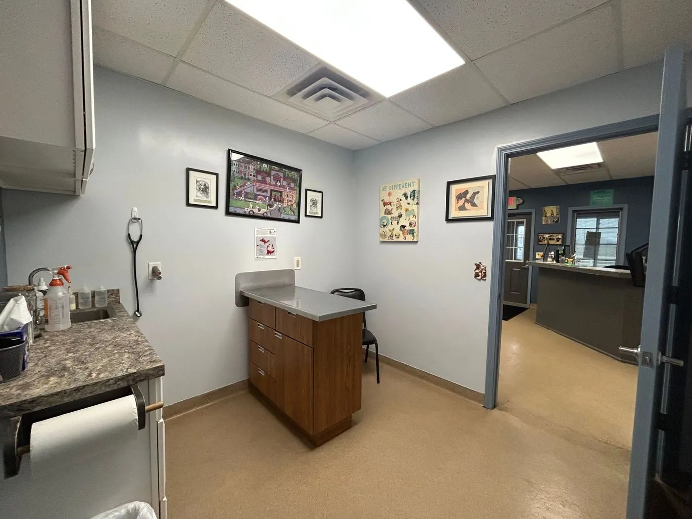 An exam room at Allegan Animal Clinic