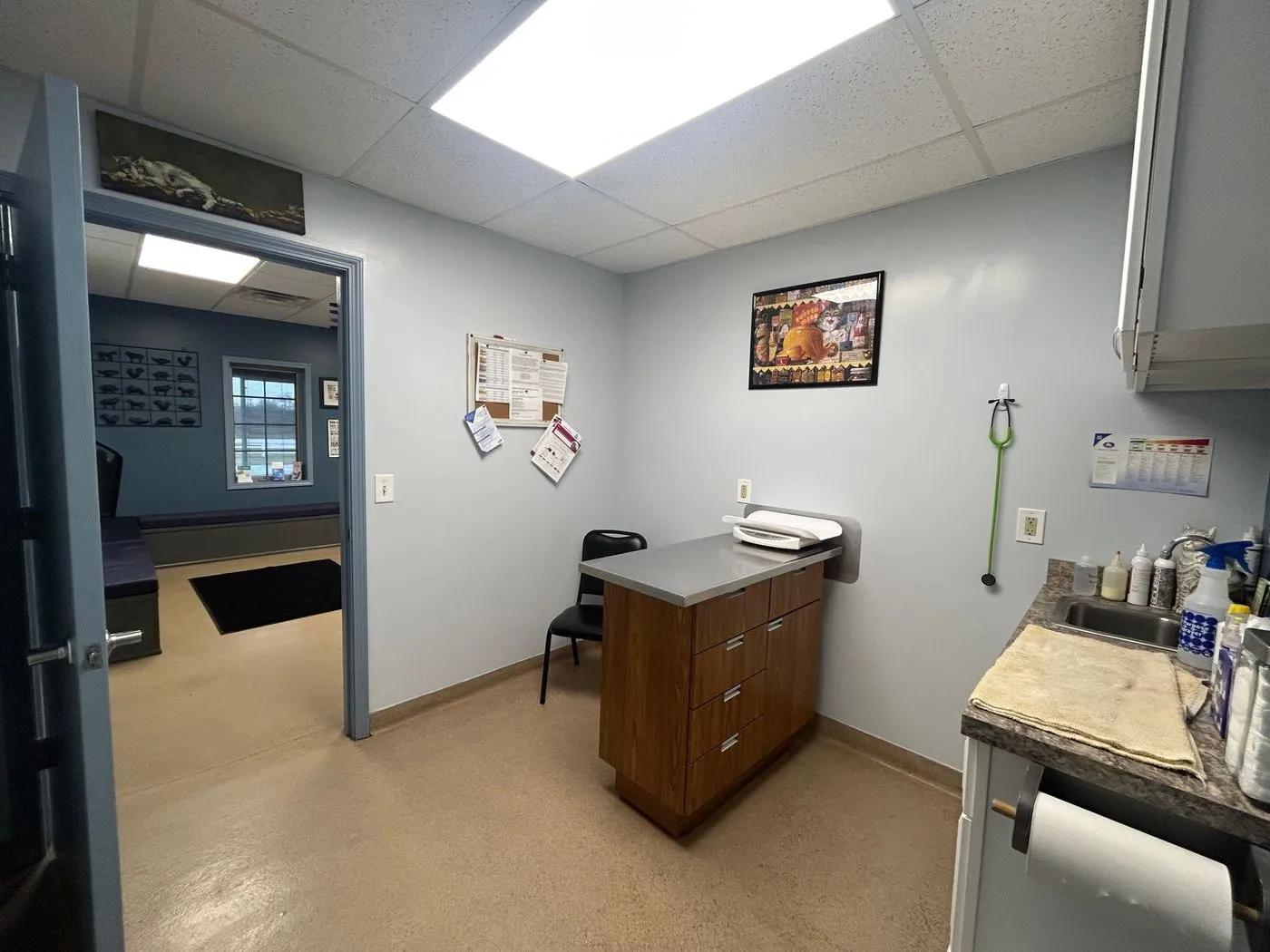 An exam room at Allegan Animal Clinic