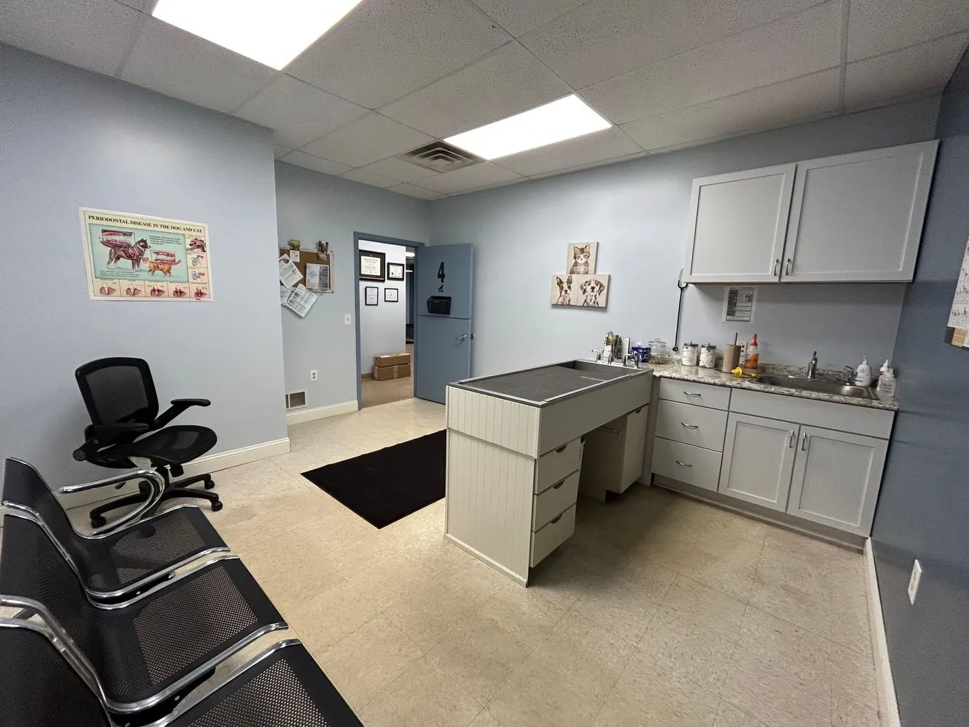 Allegan Animal Clinic office tour, photo 9