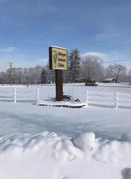 Allegan Animal Clinic office tour, photo 10