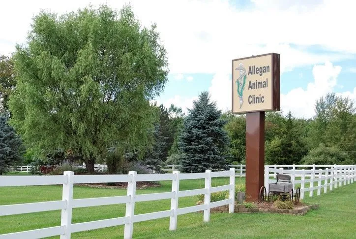 Allegan Animal Clinic office tour, photo 12
